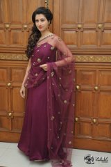 Hamsa Nandini at Bengal Tiger Movie Audio Launch